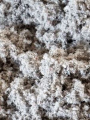 Cellulosa