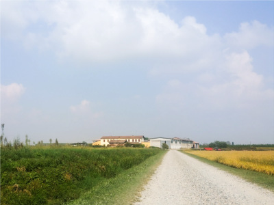 Cascina Bosco Fornasara