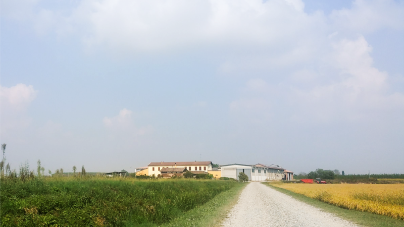 Cascina Bosco Fornasara