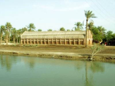 Mudhif in canna palustre - Archingreen