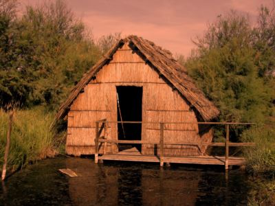 casoni - Archingreen